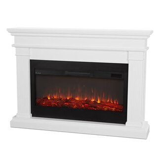 Beau 59 Landscape Electric Fireplace by Real Flame