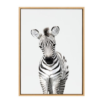 Animal Studio Zebra by Amy Peterson Framed Canvas Wall Art Print