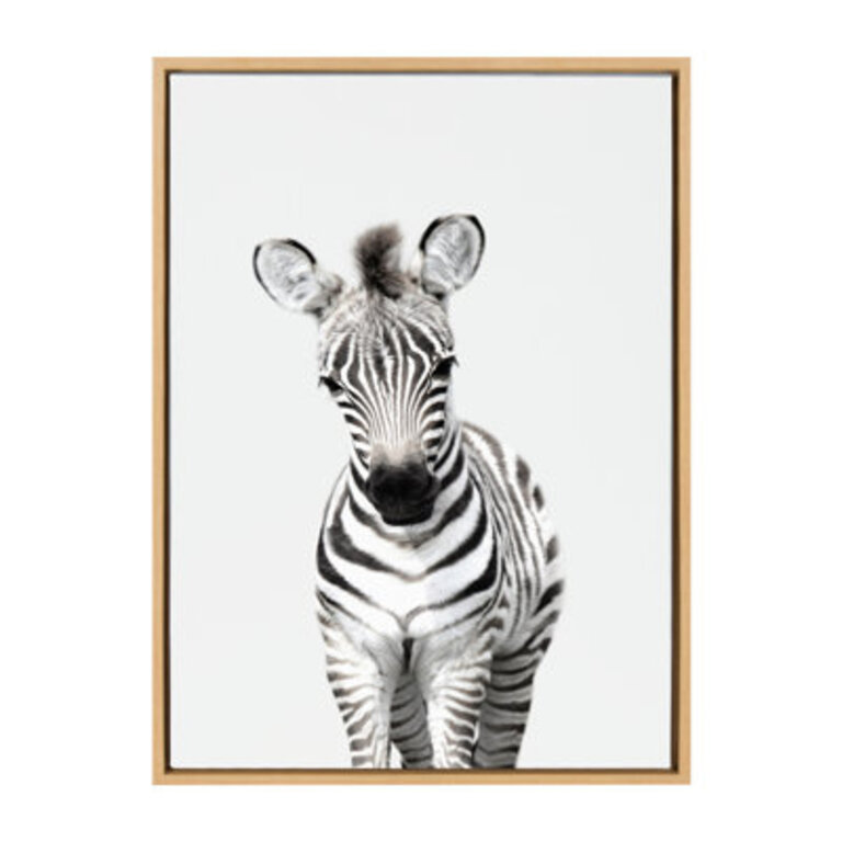 Animal Studio Zebra by Amy Peterson Framed Canvas Wall Art Print