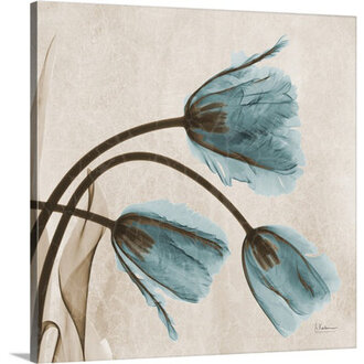 Manigault Tulip X-Ray by Kiranjit Photographic Print