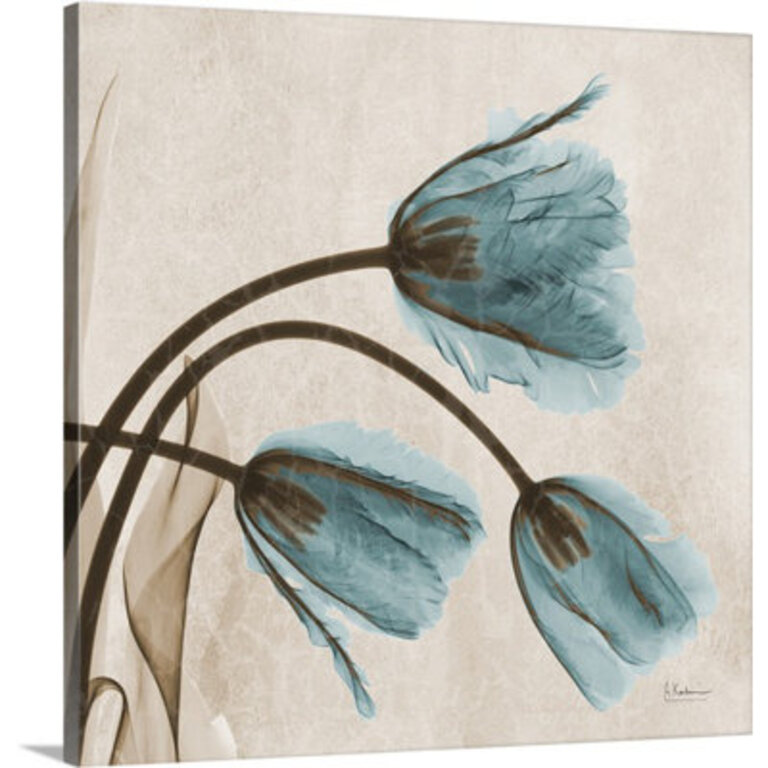 Manigault Tulip X-Ray by Kiranjit Photographic Print