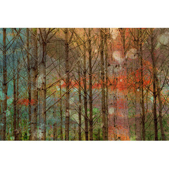 Annegreth  Through The Trees  by Art Collective