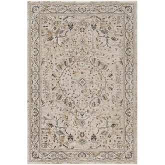 Bowerman Oriental Indoor Rug