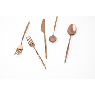 Barrona 20-pc Flatware