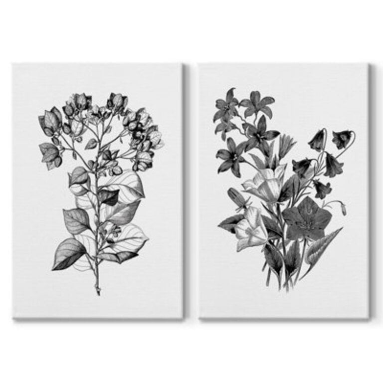 Botanical Black And White  2 - Pieces
