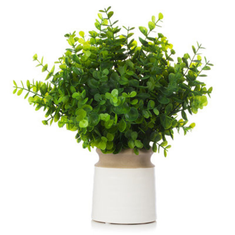 12 Faux Eucalyptus Topiary in Ceramic Pot