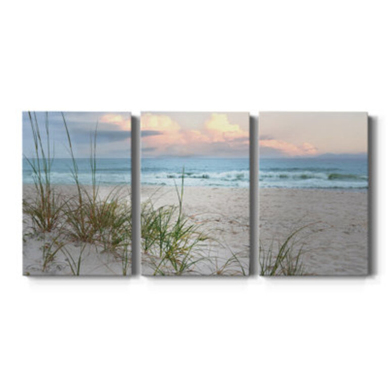 Beach Driftwood  3 - Pieces