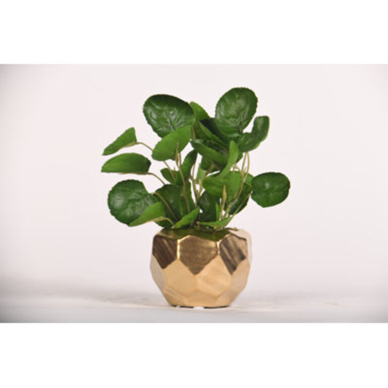 7 Faux Eucalyptus Plant in Ceramic Planter