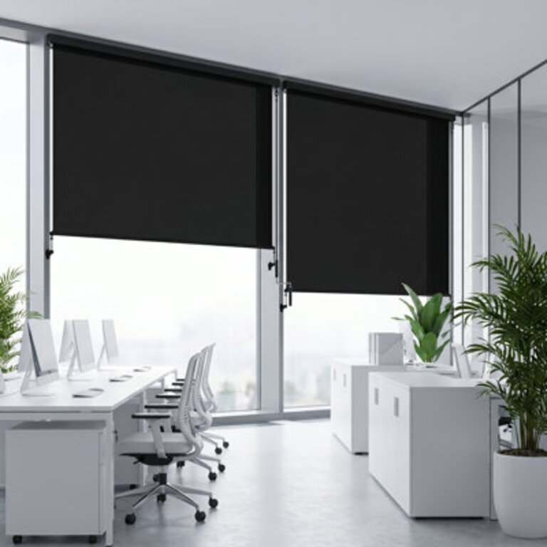 Coursey Semi Sheer Outdoor Roller Shade
