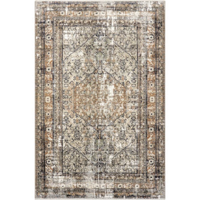Aagna Distressed Medallion Power Loom Performance BrownGrayIvory Rug