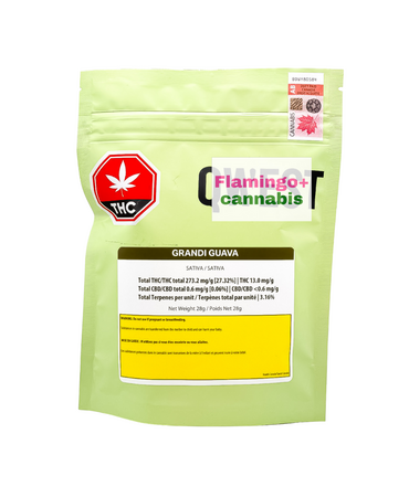 Qwest Qwest Grandi Guava Sativa Flower 28G