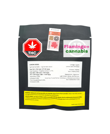 1964 1964 Lemon Diesel Sativa Flower 7G