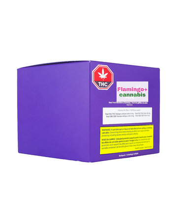 WYLD Wyld Real Fruit Blackberry Indica Gummies Multipack 10X10MG