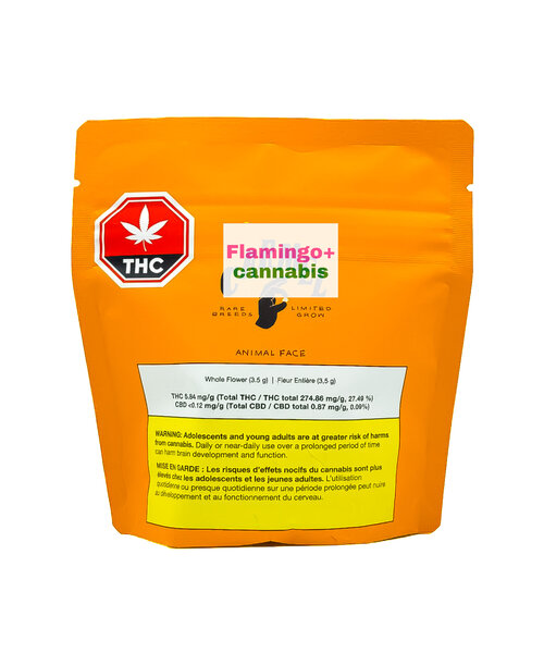 Carmel Animal Face Sativa Flower 3.5G