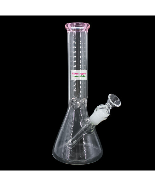 TAU 10" Classic Beaker Bong