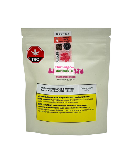 Back Forty Watermelon Ice Indica Disposable 0.95G