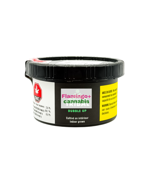 Tribal Bubble Up Craft Indica Flower 3.5G