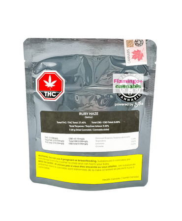 Jolly Boys Jolly Boys Ruby Haze Sativa Flower 7G