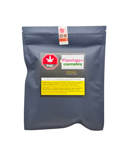 Broken Coast EmergenZ Sativa Flower 28G