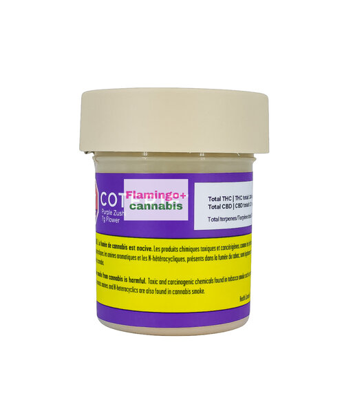 Coterie Purple Zushi Indica Flower 7G