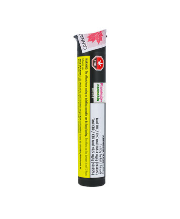 Station House Station House Amnesia Haze Sativa Pre-Roll 1X0.5G