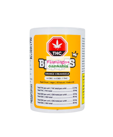 Biggies Biggies Orange Creamsicle 4:4:1 CBG:CBD:THC Hybrid Gummies 4X2.5MG