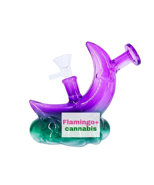 SeshGear 5" Over The Moon Glass Bubbler