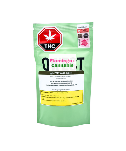 Qwest White Walker Sativa Flower 7G