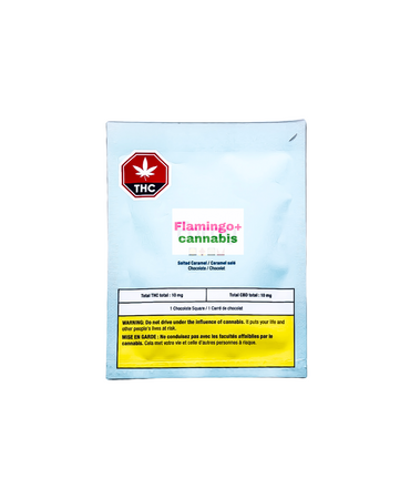 Foray Foray CBD Salted Caramel Chocolate 1x10G