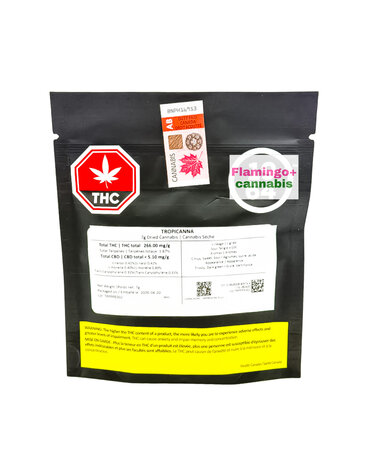 1964 1964 Tropicanna Sativa Flower 7G