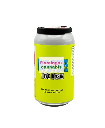 No Future No Future The Blue One Live Rosin Sativa THC Beverage 10MG