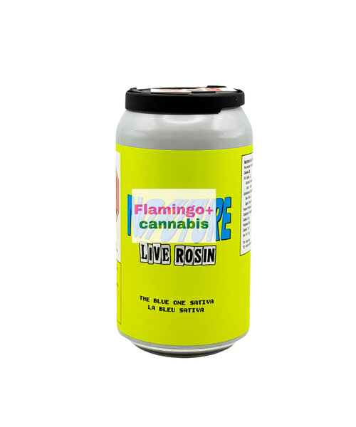 No Future The Blue One Live Rosin Sativa THC Beverage 10MG