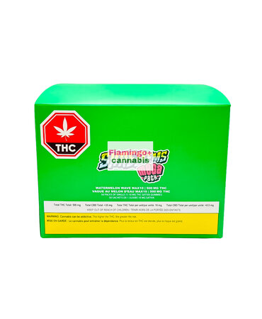 SHRED-EMS Shred'ems Watermelon Wave Mega Pack Sativa Gummies 50X10MG
