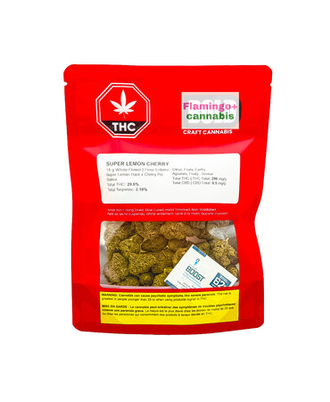 Bold Bold Super Lemon Cherry Sativa Flower 14G