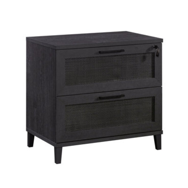 Aldrik 31.5'' Wide 2 -Drawer File Cabinet