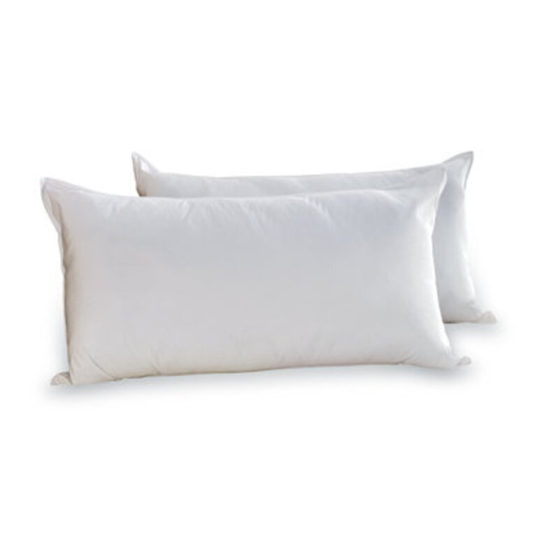 Set of 2 Wayfair Sleep Plush Support Pillows