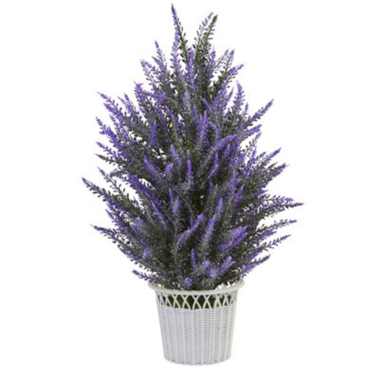 Lavender Arrangement in Planter