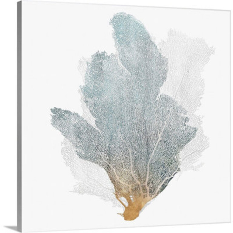 " Delicate Coral II " by Isabelle Z Painting Print
