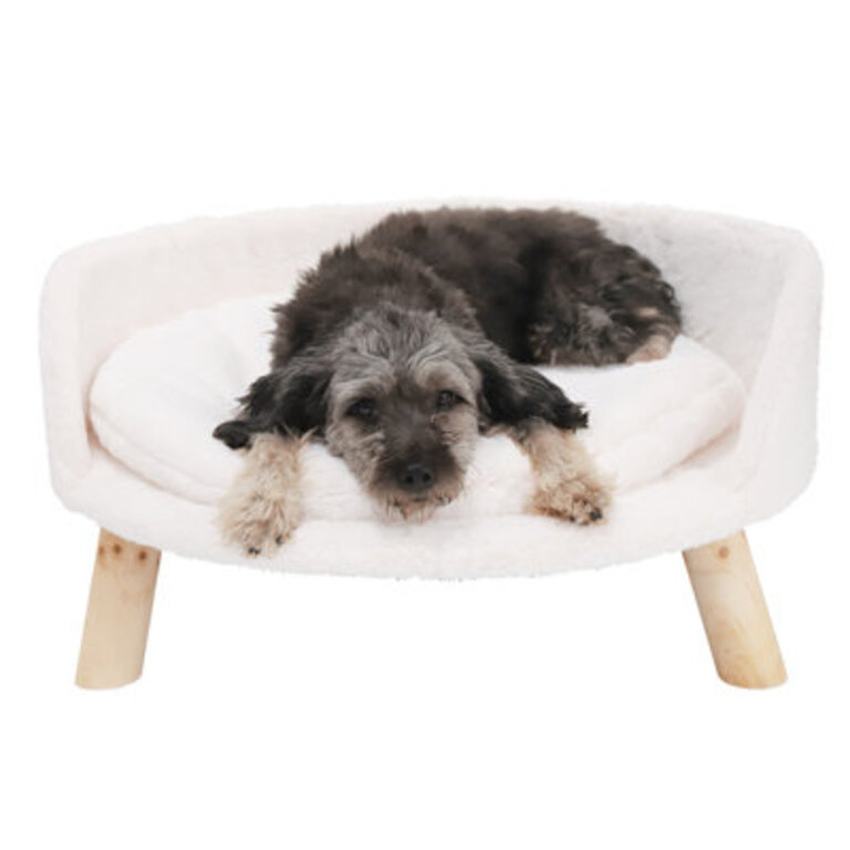 Nott Dog Sofa Cat Sofa Bed with Removeable Padded Cushion