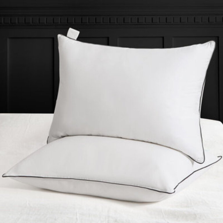 Sleeping Goose Down Plush Support Pillow (Set of 2)