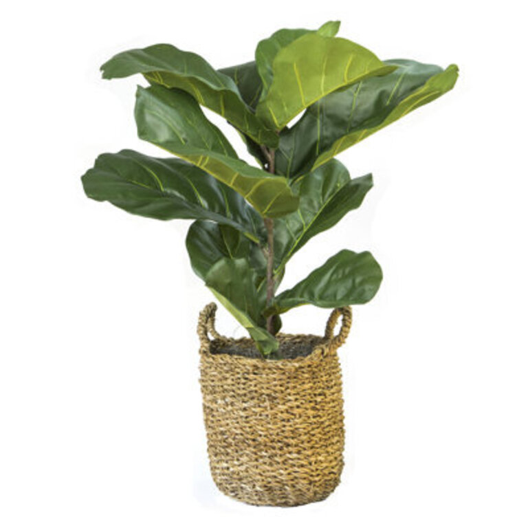 36'' Faux Fiddle Leaf Fig Plant in Wicker/Rattan Basket