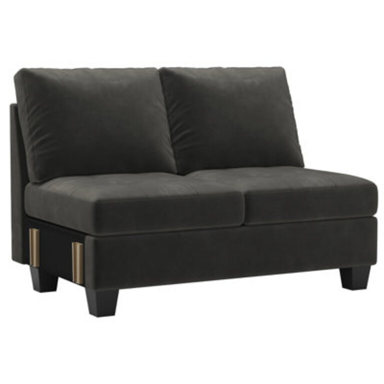 Jomes Velvet Armless 2 Seater Chair, Double Seat Module For Modular Sofa Sectional Couch