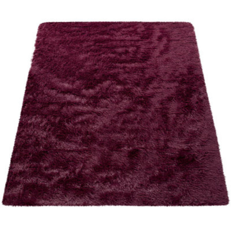 Taraval Solid Color Machine Made Shag Polyester Area Rug in Purple