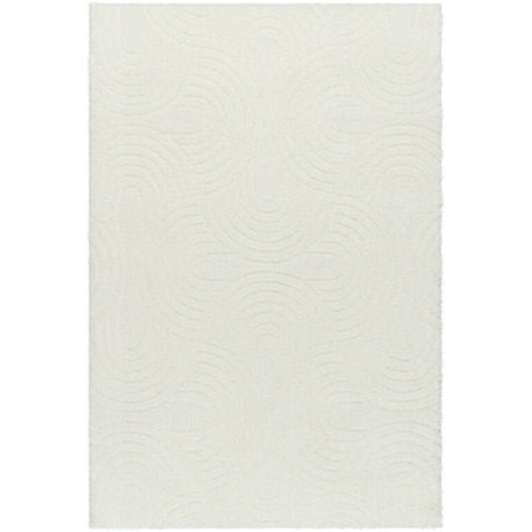 Carollyn Nomadic Machine Woven Polyester Area Rug in White