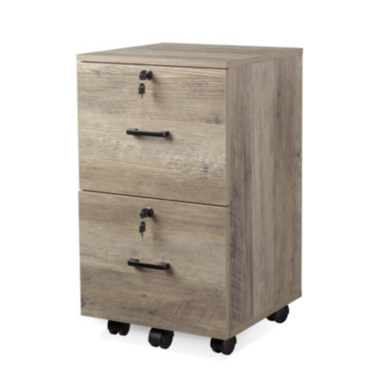 Brandice 15.7'' Wide 2 -Drawer Mobile File Cabinet