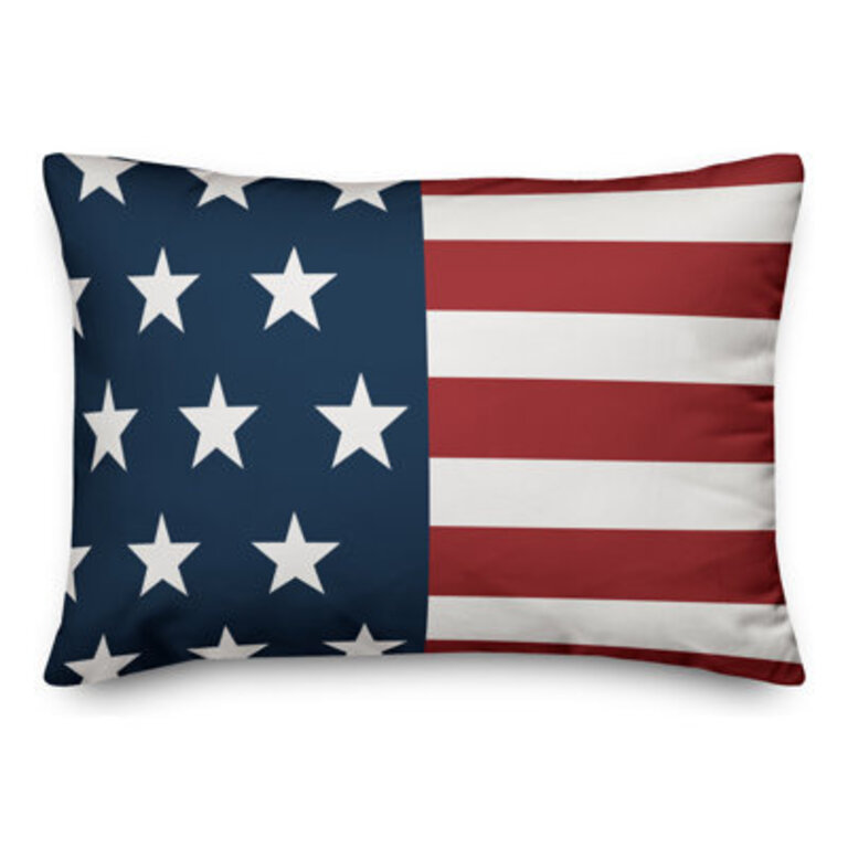 Indoor/Outdoor Throw Pillow