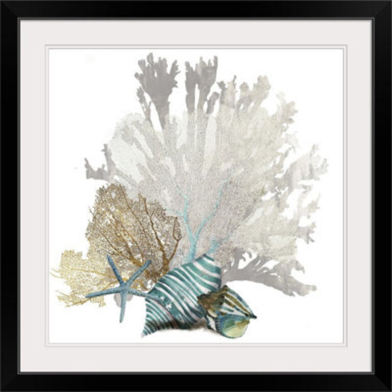 " Coral " by Aimee Wilson