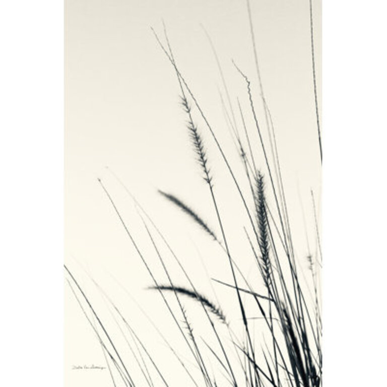 " Field Grasses II " by Van Swearingen, Debra
