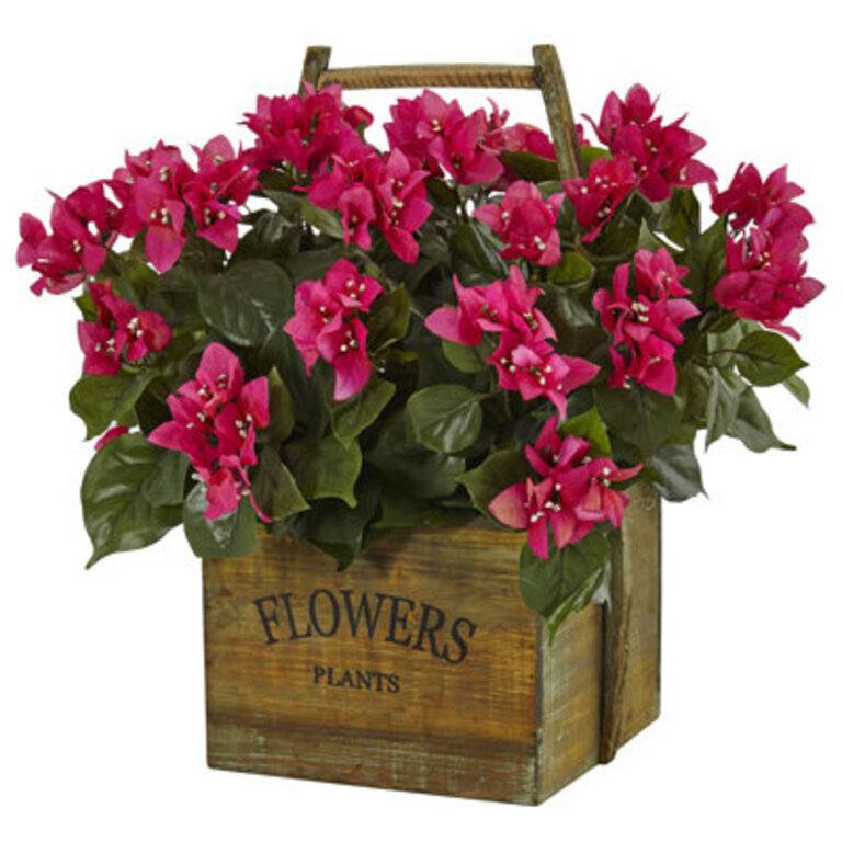 Bougainvillea Arrangement in Planter