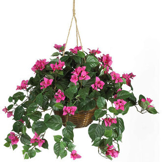 Farrar Silk Hanging Basket Arrangement in Basket